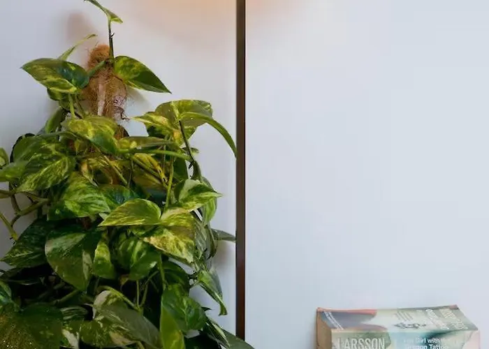 Penthouse 200m Centro Playa Con Parking Privado