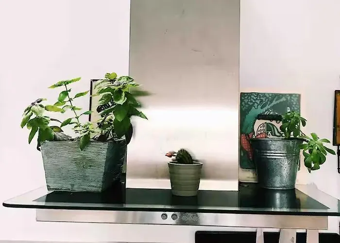 Penthouse 200m Centro Playa Con Parking Privado